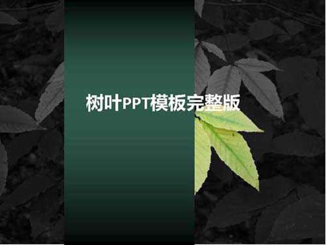 树叶ppt模板完整版免费下载