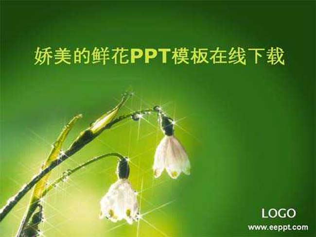 娇美的鲜花ppt模板在线下载