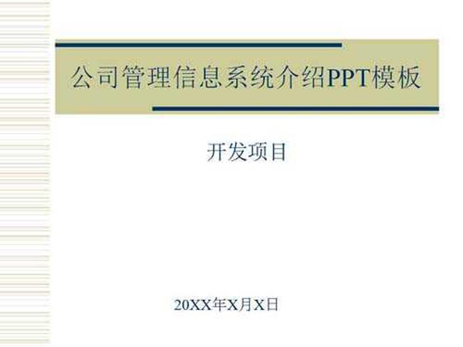 公司管理信息系统介绍PPT模板