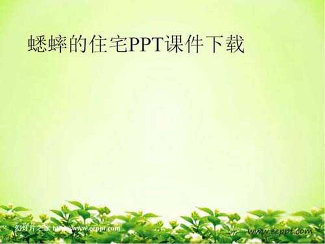 蟋蟀的住宅ppt课件下载