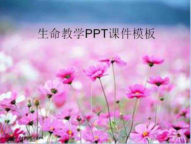 生命教学PPT课件模板