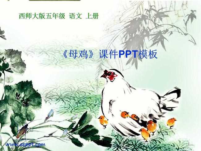 母鸡课件PPT模板下载