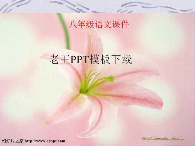 老王PPT课件模板下载