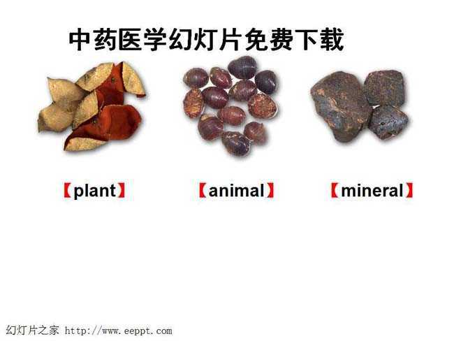 中药医学幻灯片免费下载