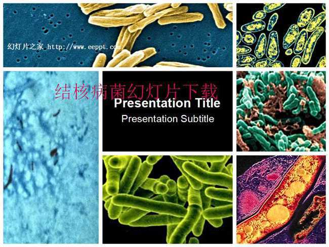 结核病菌幻灯片下载