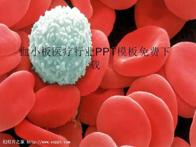 血小板医疗行业PPT模板免费下载