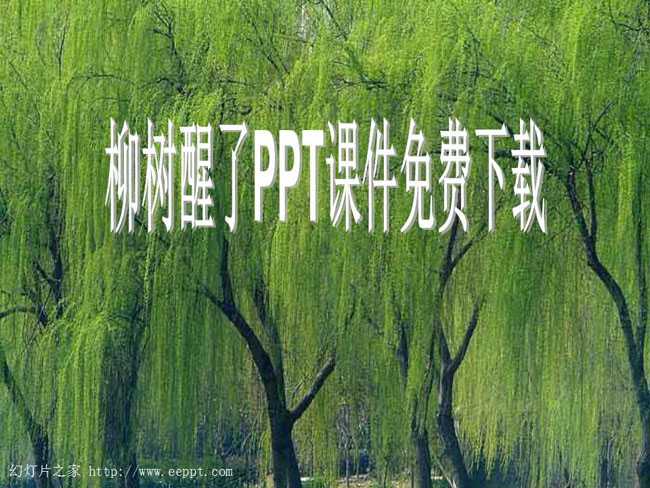 柳树醒了PPT课件免费下载