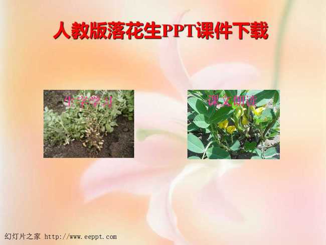 人教版落花生PPT课件下载