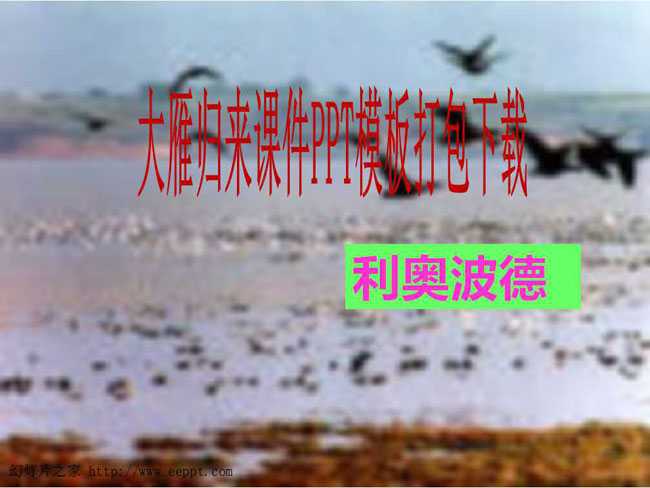 大雁归来课件PPT模板打包下载