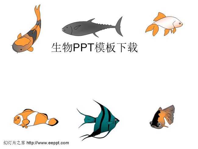 生物ppt素材