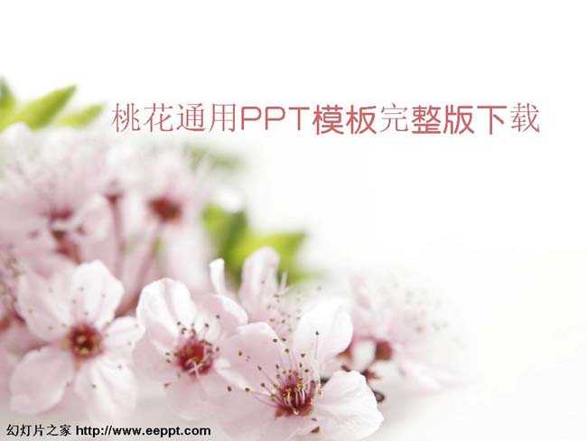 桃花通用PPT模板完整版下载