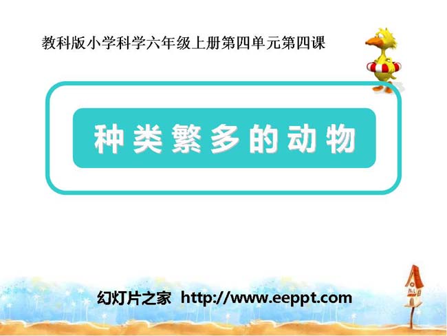 种类繁多的动物PPT模板在线免费下载