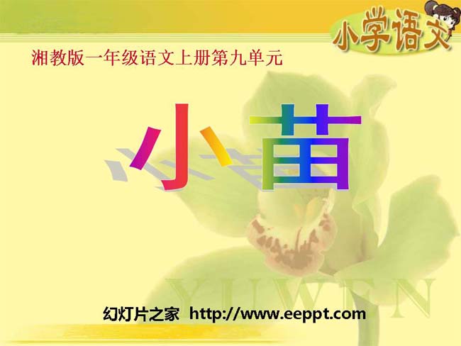 《小苗》ppt课件幻灯片模板下载