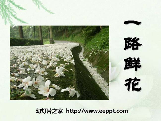 《一路鲜花》ppt课件ppt模板完整版在线免费下载