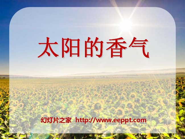 《太阳的香气》ppt课件模板完整版下载